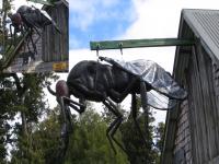 Albums/20060200-New Zealand 2006/20060207-South to Fox/6